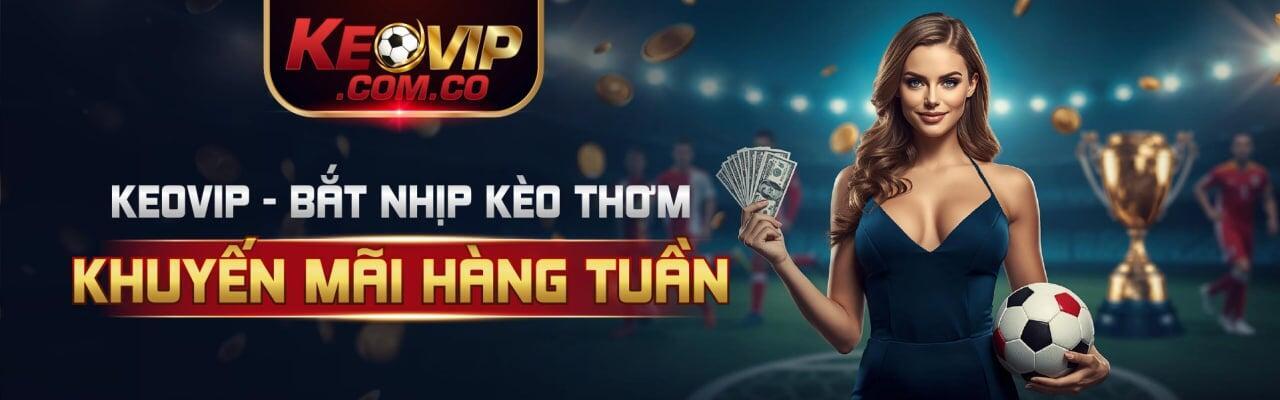 Twiz Scissor Banner Image 2